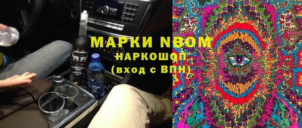 стаф Новокубанск