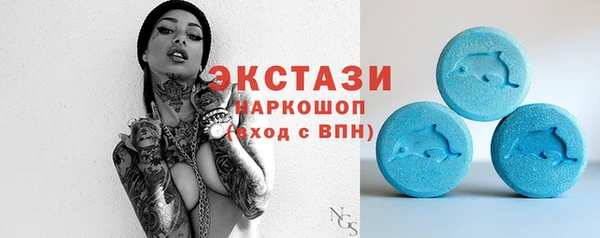 сатива Новодвинск