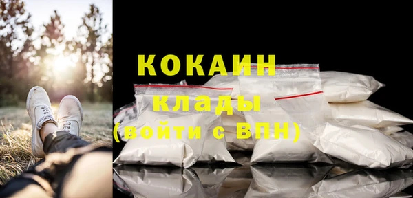 сатива Новодвинск