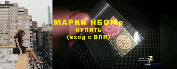 стаф Новокубанск