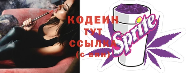 сатива Новодвинск