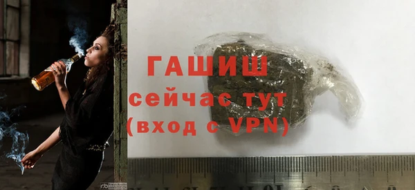 сатива Новодвинск