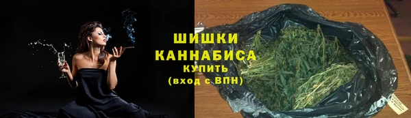 сатива Новодвинск