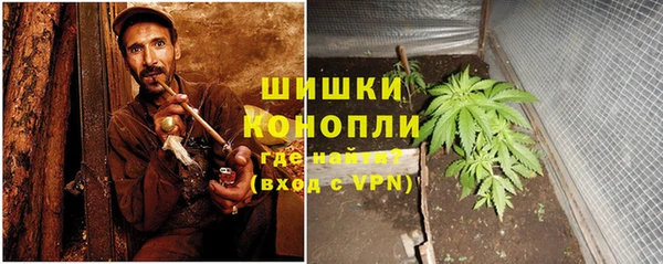 стаф Новокубанск