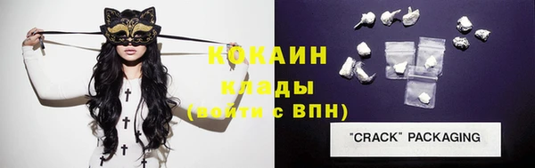 сатива Новодвинск