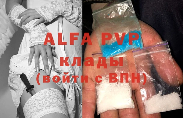 стаф Новокубанск
