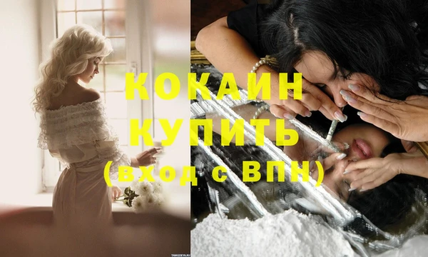 стаф Новокубанск