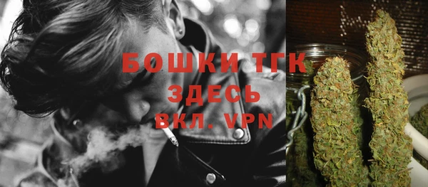 стаф Новокубанск