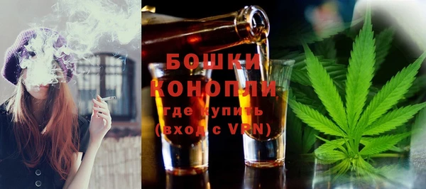 стаф Новокубанск