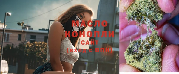 сатива Новодвинск