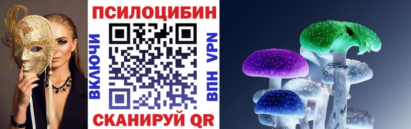 как найти закладки  Инта  Галлюциногенные грибы мухоморы 
